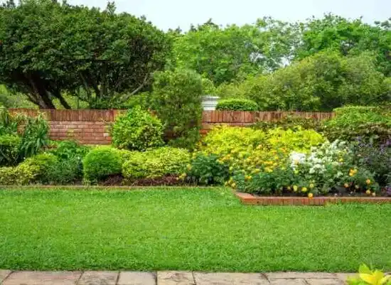 landscaping services Paradise Hills